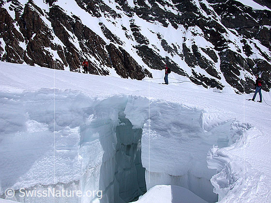 Foto: Auf dem Jungfraufirn. Alpinist auf Schneebrücke über grossen Gletscherspalt.