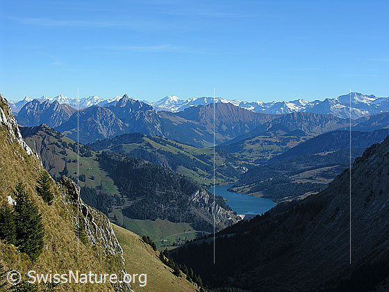 Foto: Blick vom Rochers de Naye zu Rocher Plat, Rocher du Midi, Gummfluh, Wildstrubel, Winterberghorn, Spitzhorn, Wildhorn und auf den Lac de l
