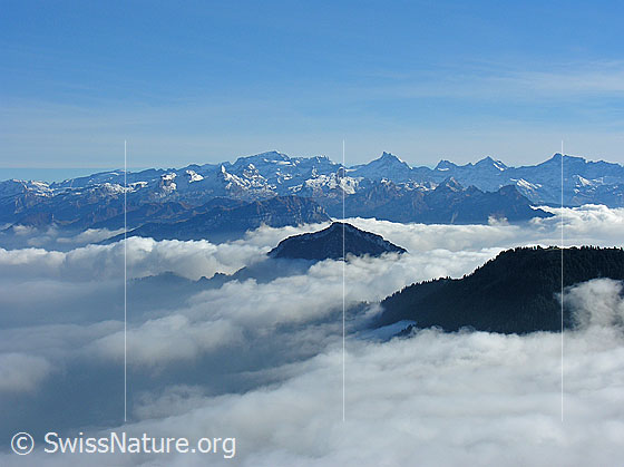Foto: Nebelmeer mit Nebelwalzen um Fronalpstock, Hochflue und Rigi Scheidegg. Im Hintergrund sind Gemsfairenstock, Blüemberg, Chaiserstock, Clariden, Tödi, Chammliberg, Rossstock, Schärhorn, Piz Cambrialas, Chli Ruchen, Düssi und Gross Ruchen zu sehen.