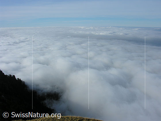 Foto: Umfassendes Nebelmeer über Zentralschweiz und Mittelland.
