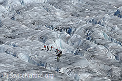 C062347: Spaltenzone im Aletschgletscher