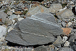 C148113: Boudinage in einem Felsblock aus Gneis