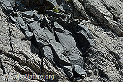 C149976: Mehr als 1m breiter hydrothermaler Gang im Gebirge