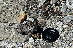 C166692: Holzfund Nr. 1 am Unteraargletscher