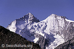 DIA84003: Dent Blanche und Grand Cornier