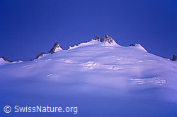 DIA85014: Aiguille du Tour