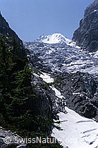 DIA85030: Glacier de Saleina