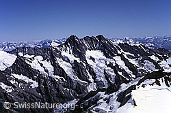 DIA88211: Schreckhorn und Lauteraarhorn