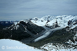 DIA92050: Morteratschgletscher vom Piz Mandra