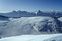 DIA92112: Petersgrat und Kanderfirn