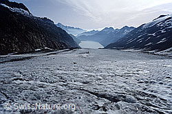 DIA92133: Oberaargletscher und Oberaarsee