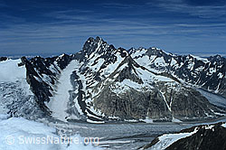 DIA92135: Finsteraargletscher und Strahlegggletscher