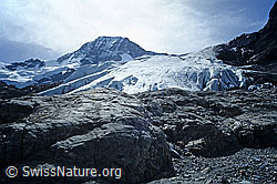 DIA92167: Breithorn und Breithorngletscher