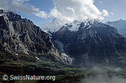 DIA92225: Oberer Grindelwaldgletscher