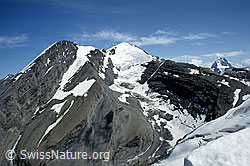 DIA93349: Altels, Balmhorn und Schwarzgletscher