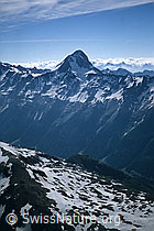 DIA95233: Bietschhorn von Nordwesten