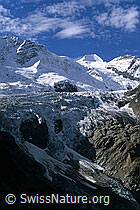 DIA95320: Fieschergletscher und Obers Ischmeer