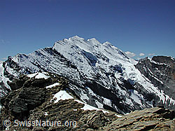 Foto: Bütlasse: Blüemlisalphorn-Gruppe