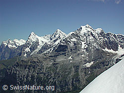 DSCN0460: Bütlasse: Eiger, Mönch und Jungfrau
