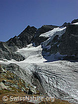 DSCN1016: Ofenhorn und Tälligletscher im Sommer