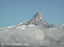 DSCN1401: Finsteraarhorn mit Wolkenkragen
