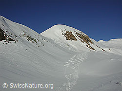 DSCN2166: Gandhorn mit Abfahrtsspuren