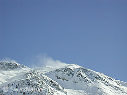 DSCN2480: Schneeverfrachtung
