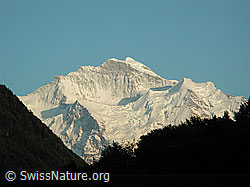 DSCN3543: Jungfrau von Interlaken