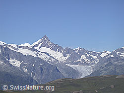 DSCN6074: Blauseegebiet: Finsteraarhorn und Fieschergletscher