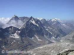 DSCN6341: Grosses Schinhorn: Scherbadung und Schwarzhorn