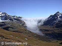 DSCN6878: Nebelwalze über dem Albrunpass