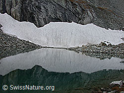 DSCN7106: Spezielle Form eines Schneefelds mit Spiegelung im See
