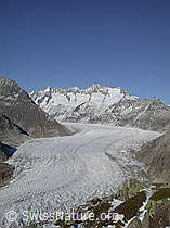 DSCN7449: Moosfluh: Aletschgletscher