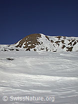 DSCN7842: Gand: Gandhorn