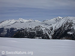 DSCN8442: Hockbode: Aletschhorn, Jungfrau, Gross Wannenhorn