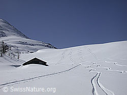 DSCN8714: Aufstiegs- und Abfahrtsspuren neben Alphütte