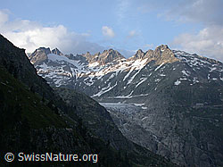 ESCN1904: Abendlicht auf dem Rhonegletscher