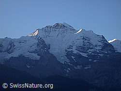 ESCN3452: Jungfraujoch, Jungfrau und Silberhorn im Morgenlicht