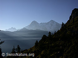 ESCN3465: Tschuggen, Eiger und Mönch mit Dunst
