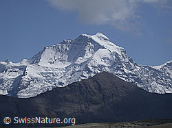 ESCN3664: Jungfrau und Bietenhorn