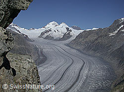 F000018: Eggishorn: Aletschgletscher, Konkordiaplatz, Mönch, Trugberg