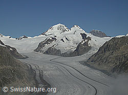 F000042: Mönch, Trugberg, Eiger, Konkordiaplatz und Aletschgletscher