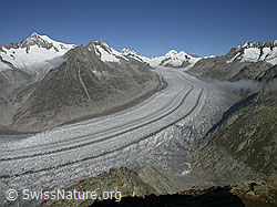 F000056: Aletschgletscher, Aletschhorn, Dreieckhorn, Jungfraujoch, Mönch