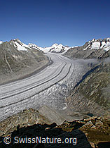F000057: Eggishorn: Dreieckhorn, Mönch, Aletschgletscher