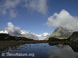 F000083: Bergsee mit Spiegelung im Aletschgebiet
