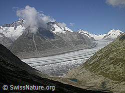 F000085: Aletschhorn, Dreieckhorn, Aletschgletscher