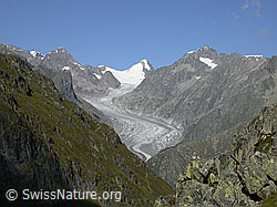 F000126: Finsteraarrothorn, Oberaarhorn und Fieschergletscher