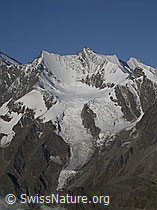 F000188: Lenzspitze, Nadelhorn, Stecknadelhorn, Hohberghorn