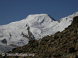 F000239: Jegihorn: Alphubel