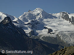 F000240: Jegihorn: Allalinhorn